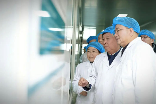 尊龙凯时(中国)人生就是搏!